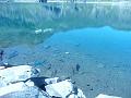 Araing_2009 004